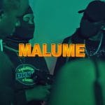 VIDEO | Moni Centrozone Ft Q Chief – Dr Malume | Mp4 D...