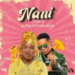 Nani Remix | Download