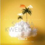 Shona Kwelanga (Remix) | Download