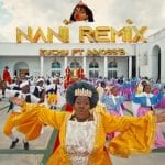Nani Remix | Mp4 Download