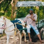 Success | Mp4 Download