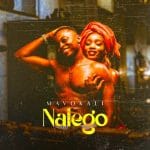 Nalego | Download
