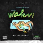 Sisi Walevi | Download