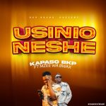Usinionyeshe | Download