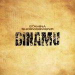 Binamu Remix | Download