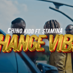 Change Vibe | Download