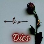 LOVE DIES | Download