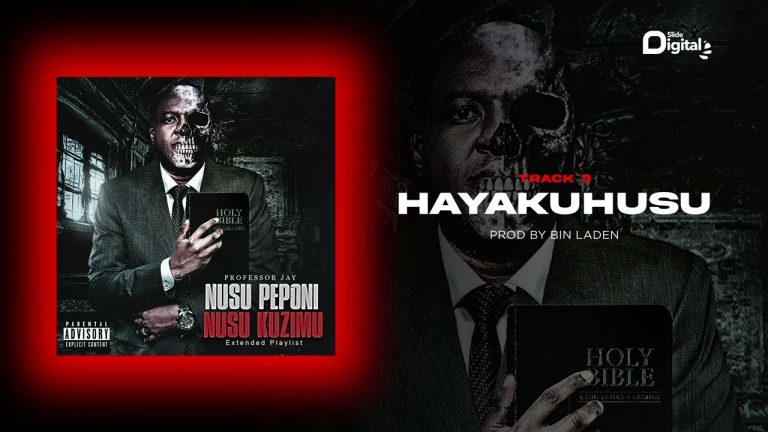 HAYAKUHUSU | Download