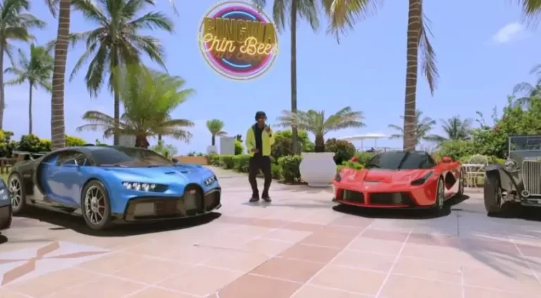 Bingwa (Mp4 Download)