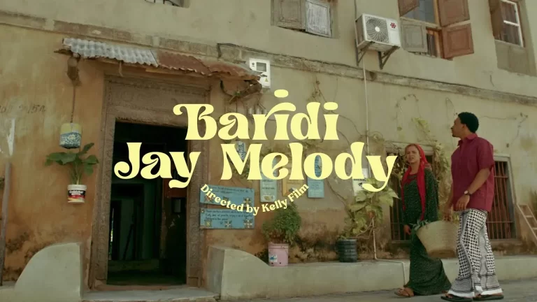 Baridi