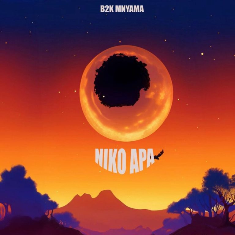 Niko Apa | Download