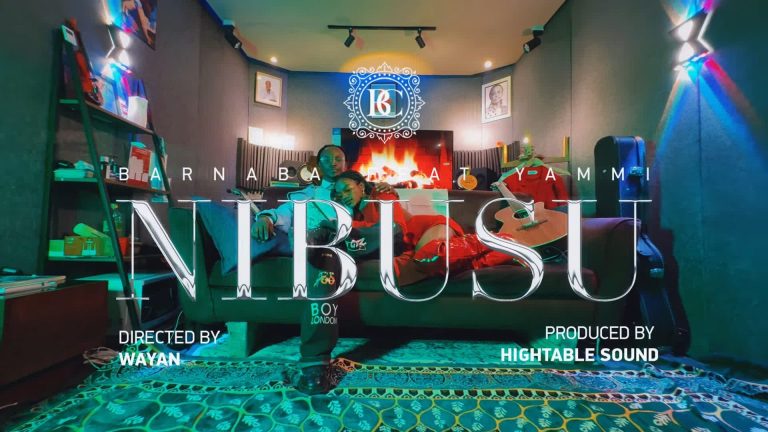 Nibusu | Visualiser