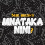 AUDIO | Suma Mnazaleti – Mnataka Nini?| Download