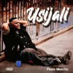 AUDIO | Peter Msechu – Usijali | Download