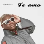 AUDIO | Hamis Bss – Te Amo | Download