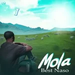 AUDIO | Best Naso – Mola | Download