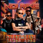 Makhadzi & Gatsheni – Ndi Rine | Download