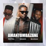 AMANTOMBAZANE | Download