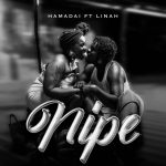 Nipe | Download