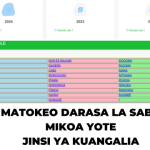 Matokeo ya Darasa la Saba 2025 NECTA Mikoa Yote Tanzania