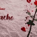 Niache | Download