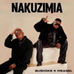 Nakuzimia | Download