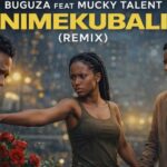 Nimekubali (Remix) | Download