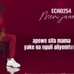 Meri Jaan | Download