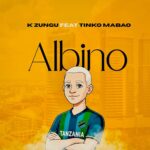 AUDIO | K Zungu Ft. Tinko Mabao – Albino | Download