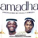Msomali Vitamini – Ramadhan | Download