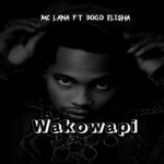 Wakowapi | Download