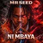 Mr Seed – Ni Mbaya