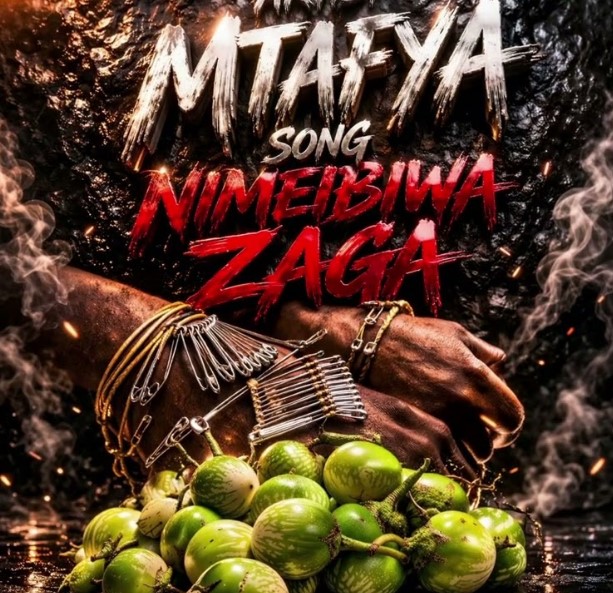 Nimeibiwa Zaga