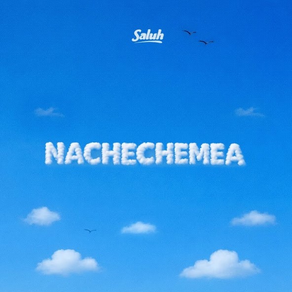 Nachechemea