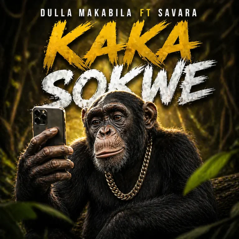 Kaka Sokwe