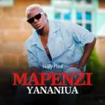 Willy Paul – Mapenzi Yananiua