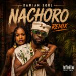 Damian Soul – Nachoro (Remix)