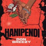 Don Breezy – Hanipendi