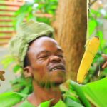Harmorapa – Karibu bongo