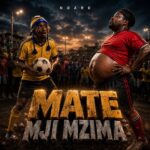 Ndaro – Mate Mji Mzima