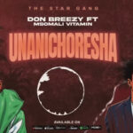 Don Breezy Ft. Msomali Vitamin – Unanichoresha