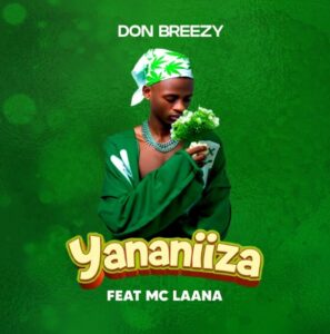 Yananiiza