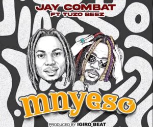 Mnyeso