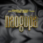 Naogopa