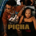 Picha