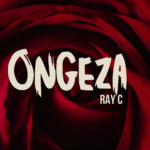 Ongeza