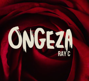 Ongeza