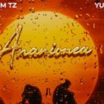 Ananionea