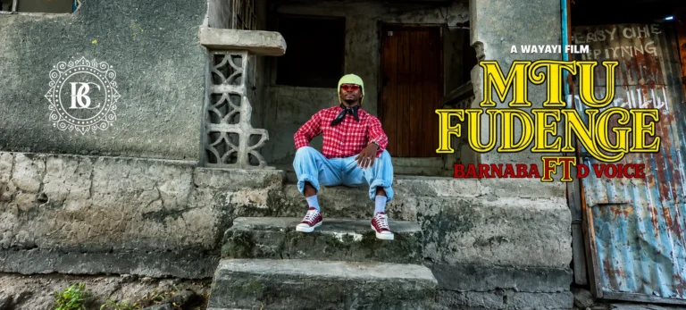 Mtu Fudenge (Visualizer)