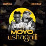 Moyo Ushagaili